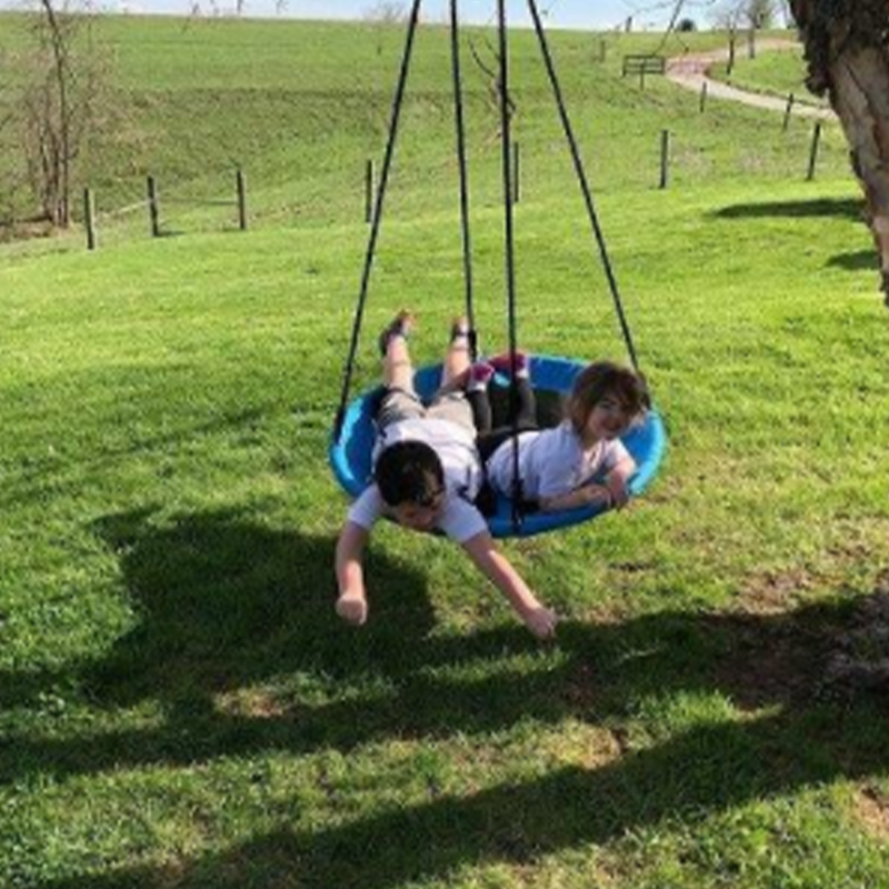 Balanço de árvore com bandeira